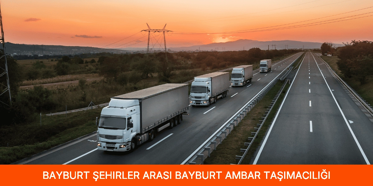 Şehirler Arası Bayburt Ambar Taşımacılığı
